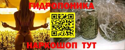 эйфоретик Жуковский